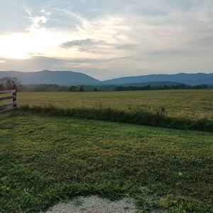 Meet your Posher, Annette